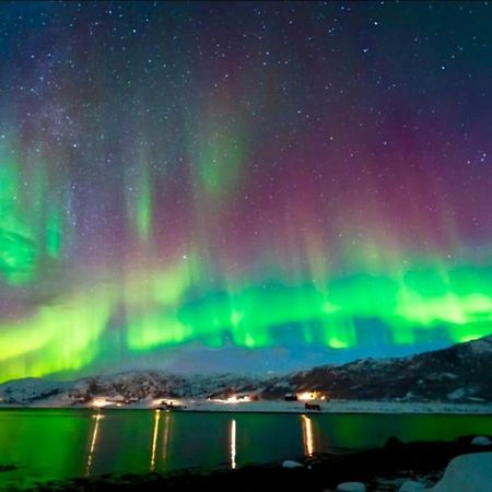 In The Heart Of The Aurora Borealis - Tromso City エクステリア 写真