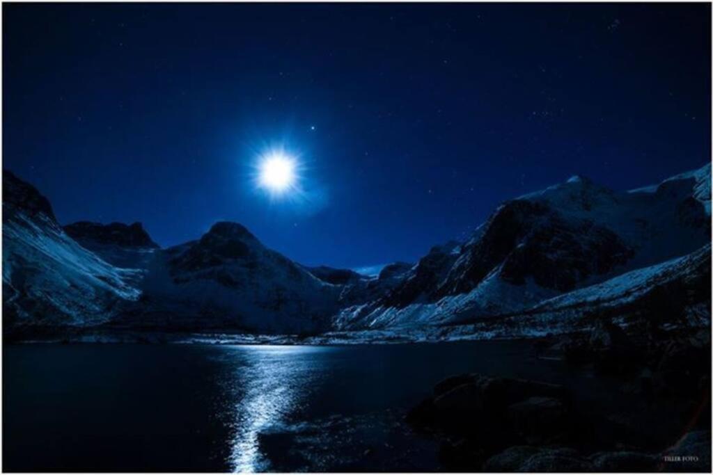 In The Heart Of The Aurora Borealis - Tromso City エクステリア 写真