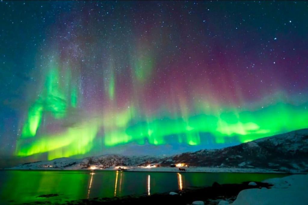 In The Heart Of The Aurora Borealis - Tromso City エクステリア 写真
