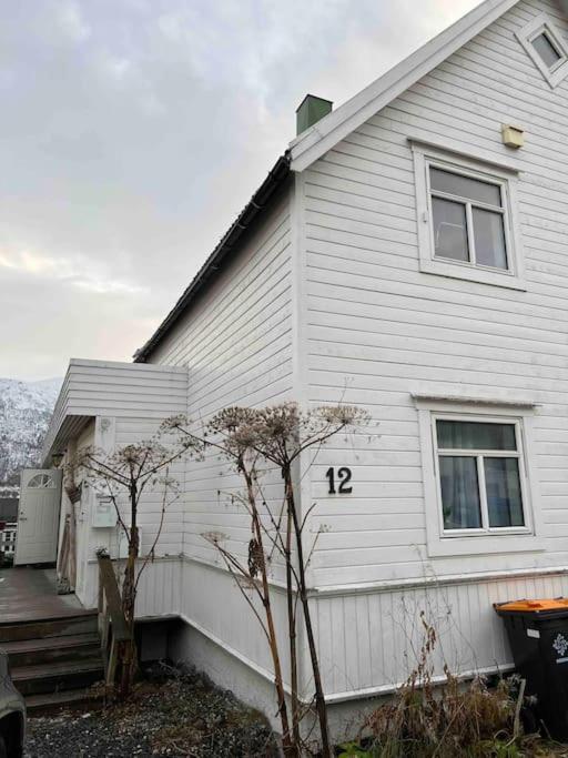 In The Heart Of The Aurora Borealis - Tromso City エクステリア 写真