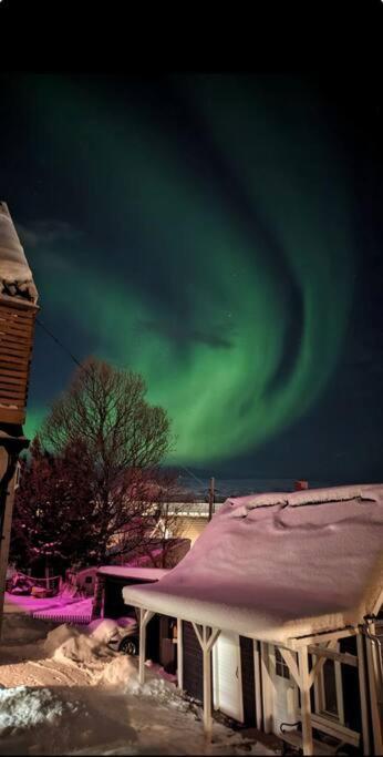 In The Heart Of The Aurora Borealis - Tromso City エクステリア 写真